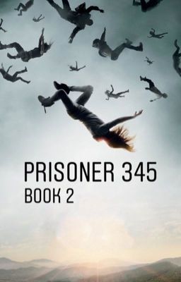 Prisoner 345 (book 2) The 100 cover