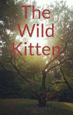 The Wild Kitten cover