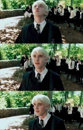 Whispers   (Draco Malfoy x reader) by lyssfromjupiter