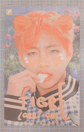 tigre ꒷꒦ ❝ taekook by softaebaby