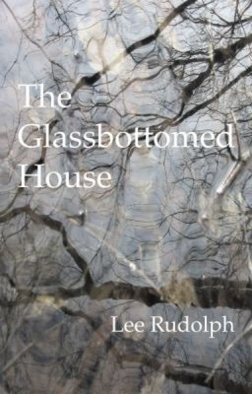 The Glassbottomed House by Lee_Rudolph