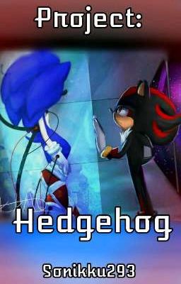 Project: Hedgehog cover