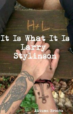 It Is What It Is~ Larry Stylinson cover