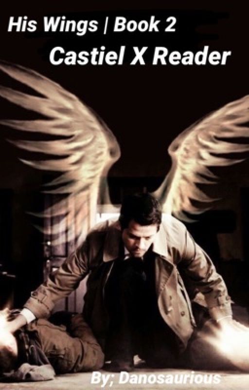 His Wings | Castiel X Reader | Book 2 by Danosaurious