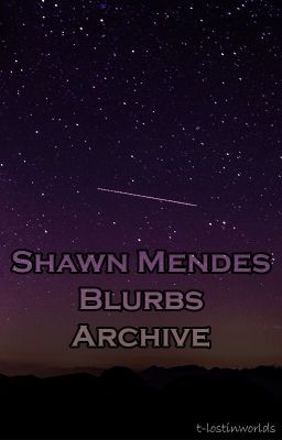 Shawn Mendes Blurbs cover