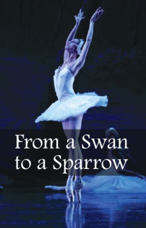 From a Swan to a Sparrow by Kath882