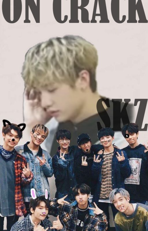 Stray Kids ? skits ? by moonbinknowslee