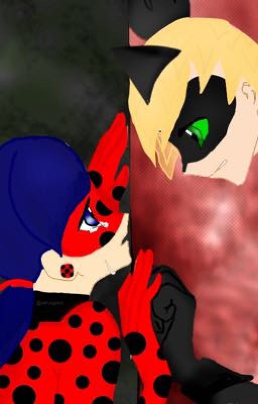 Time do us part (miraculous ladybug fan fic)[Under Work] by winxgeek