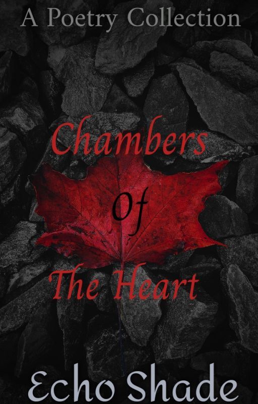 Chambers of The Heart by echoshade23