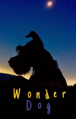 Wonder Dog | DAMON BGT cover