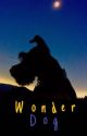 Wonder Dog | DAMON BGT by 1damon