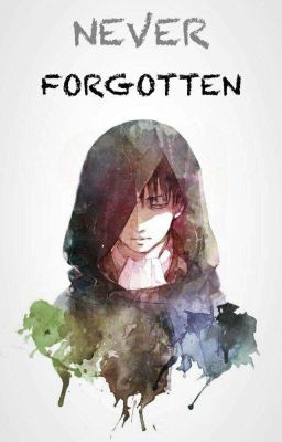 Never Forgotten (Levi X OC Fanfiction) cover