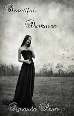 Beautiful Darkness cover