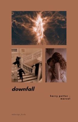 [3] downfall ~ harry potter × marvel cover