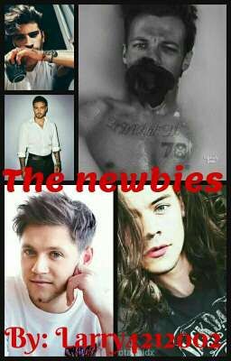 The newbies (Larry Stylinson) cover