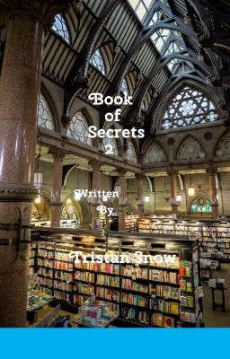 THE BOOK OF SECRETS BY TRISTAN SNOW cover