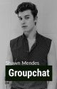 Groupchat x Shawn Mendes by horaansprincess