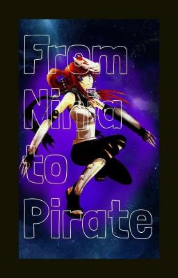 From Ninja to Pirate cover