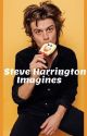 Steve Harrington Imagines by Jackie_fio56