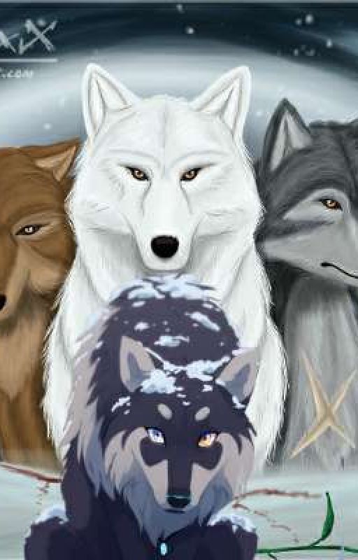 Wolf's Rain by insane_chick_02