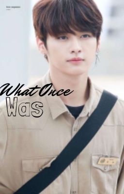 What Once Was // Stray Kids Lee Know X Reader cover