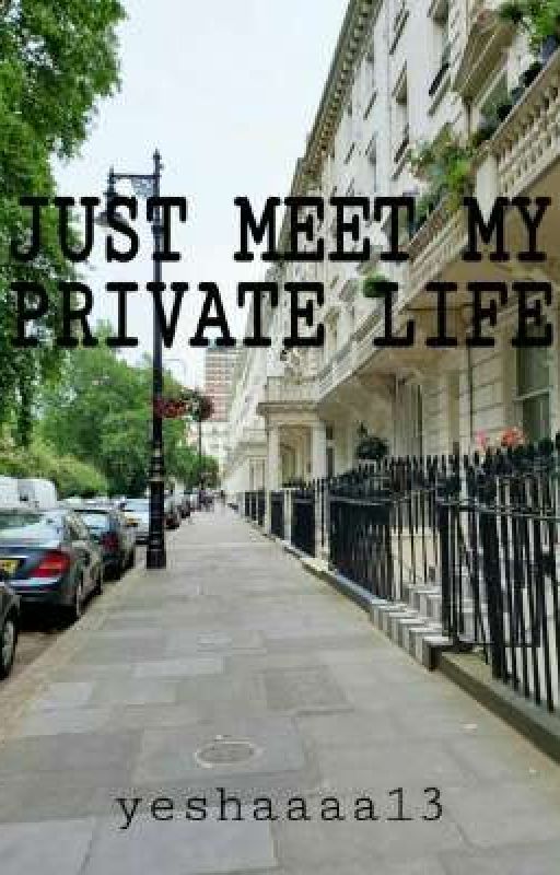 JUST MEET MY PRIVATE LIFE.. by gemelab