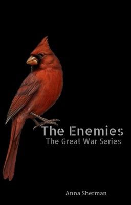 The Enemies cover