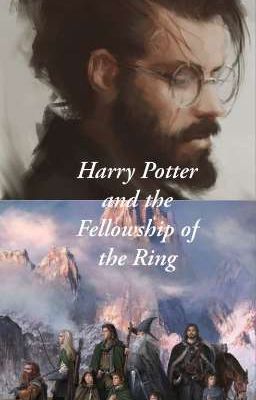 Harry Potter and the Fellowship of the Ring  cover