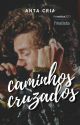 Caminhos Cruzados // harry styles by pallidus