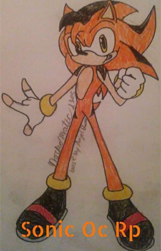 Sonic Oc Rp by Jiodude_97