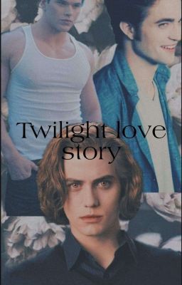 twilight soulmate story cover