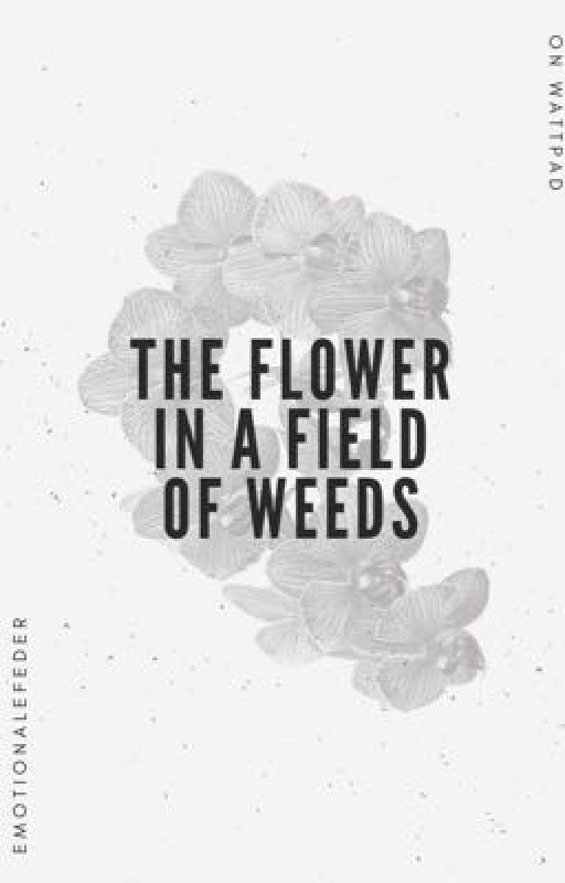 The flower in a field of weeds by emotionalefeder