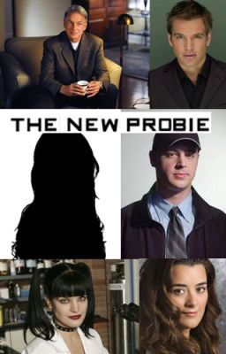 The New Probie (an NCIS Fanfiction) cover