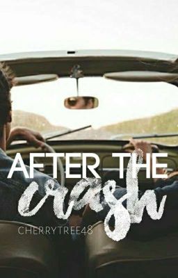 After the Crash ✓ cover