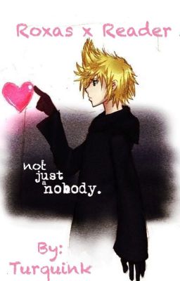 Not Just a Nobody. {Roxas x Reader} cover