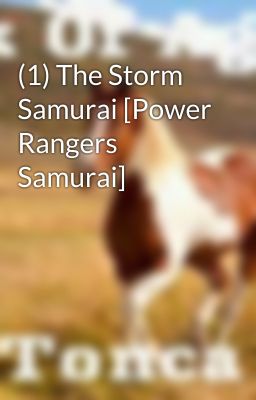 (1) The Storm Samurai [Power Rangers Samurai] cover