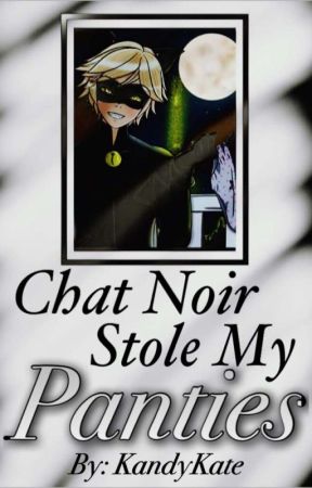 Chat Noir Stole My Panties (MLB Fanfiction) by KandyKate