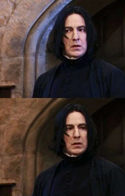 Severus Snape x Reader  cover