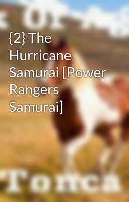 {2} The Hurricane Samurai [Power Rangers Samurai] cover