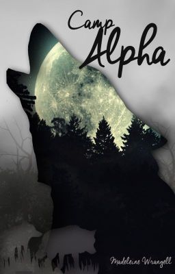 Camp Alpha (BoyxBoy) cover