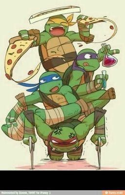 TMNT x Reader boyfriend scenarios. [ complete ] cover