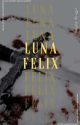 Luna Felix by big19boss