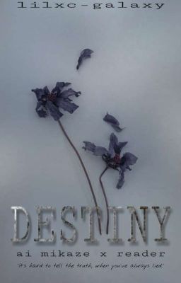 Destiny [Ai Mikaze x Reader] [FATE BOOK TWO] cover