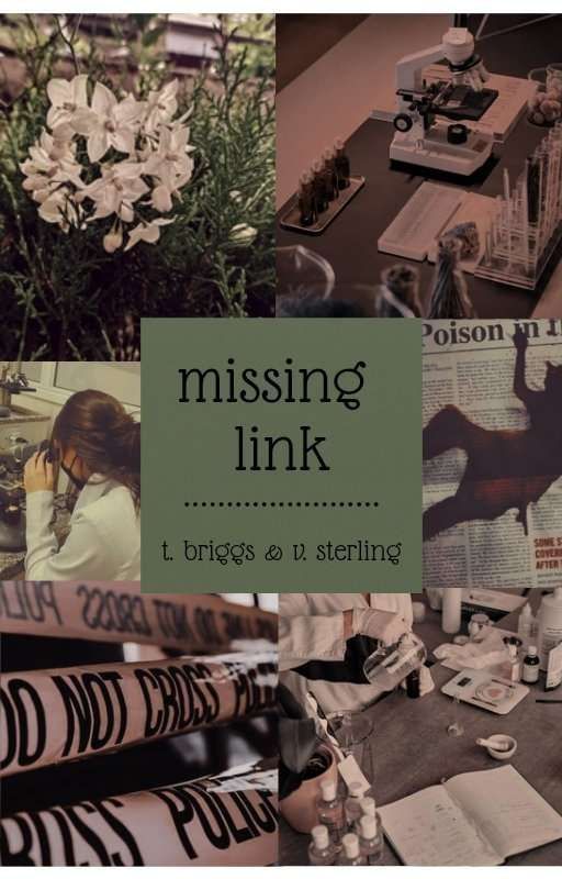 MISSING LINK》t. briggs & v. stirling by TheBestWall