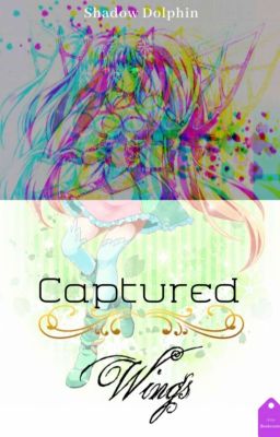 Captured Wings: 1st draft cover