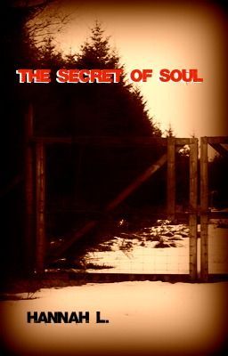 The Secret of Soul cover