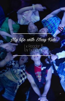 My life with Stray Kids || x Reader ff cover