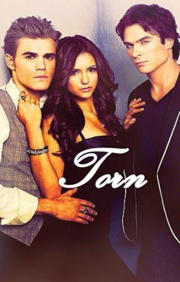 Torn (Vampire Diaries Fan-Fic) cover