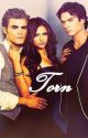 Torn (Vampire Diaries Fan-Fic) by _AnythingButOrdinary