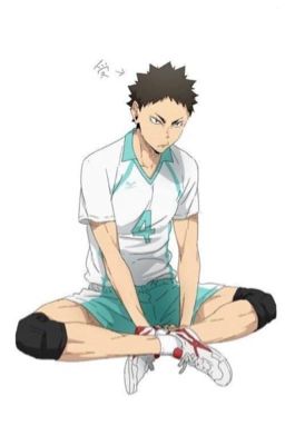 Der Junge im Schatten des Rampenlichts (Iwaizumi FF) cover